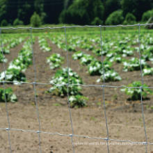 Australia Europe UK Canada Galvanized Steel Livestock Field Fence for Farm Use